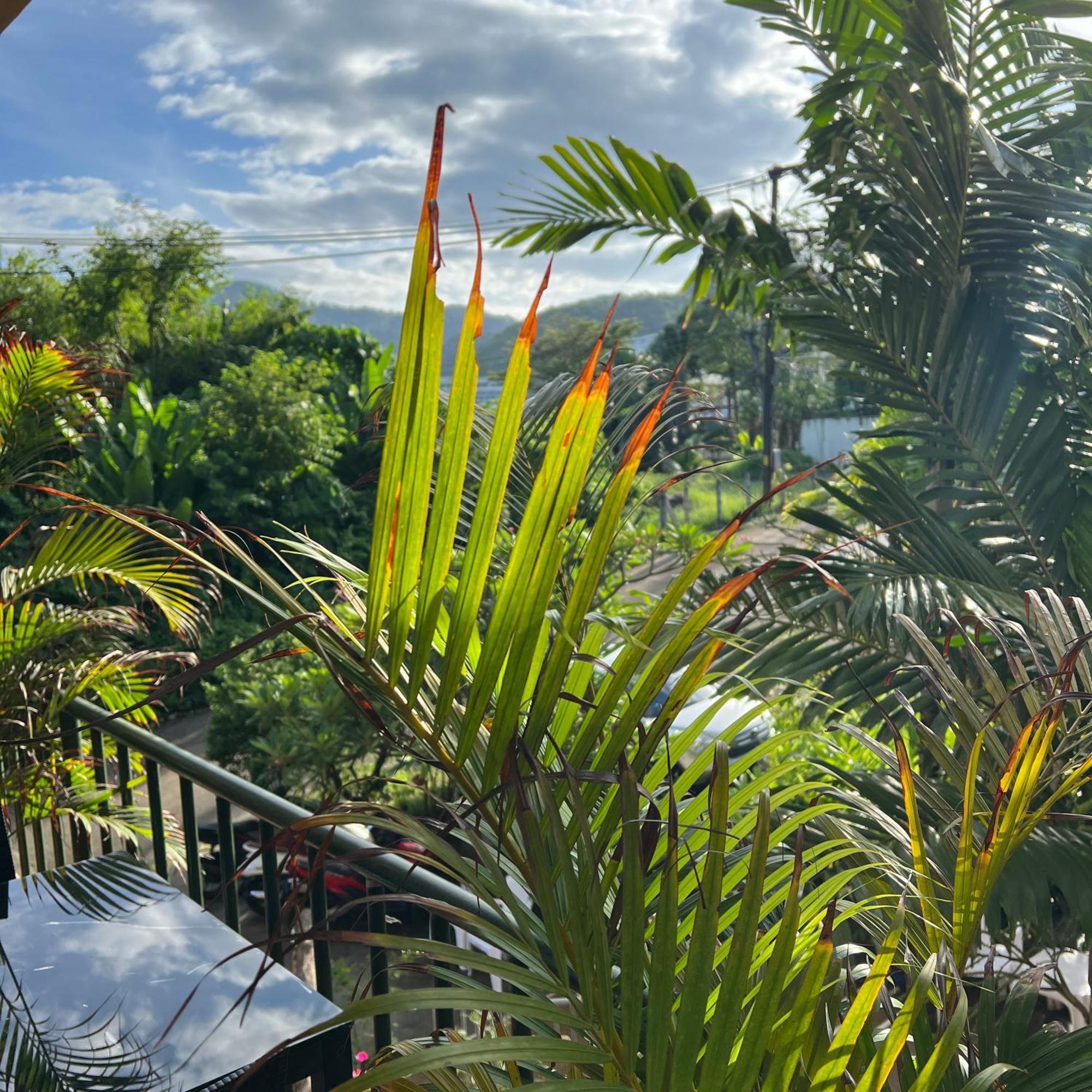 Kata Villa Merit Hill Bungalows Karon Exteriér fotografie