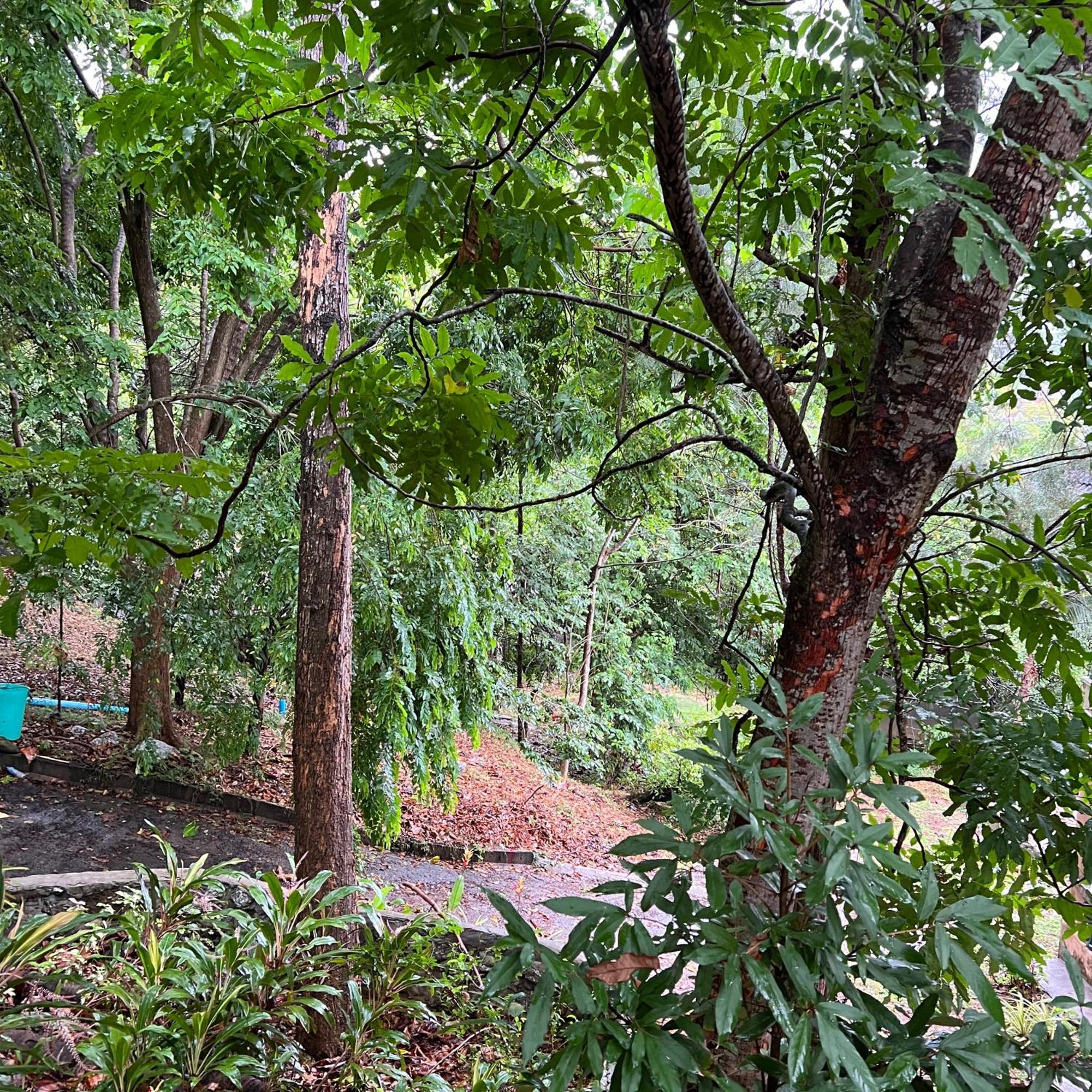 Kata Villa Merit Hill Bungalows Karon Exteriér fotografie